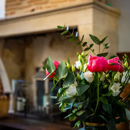 Arc En Ciel - Medoc *